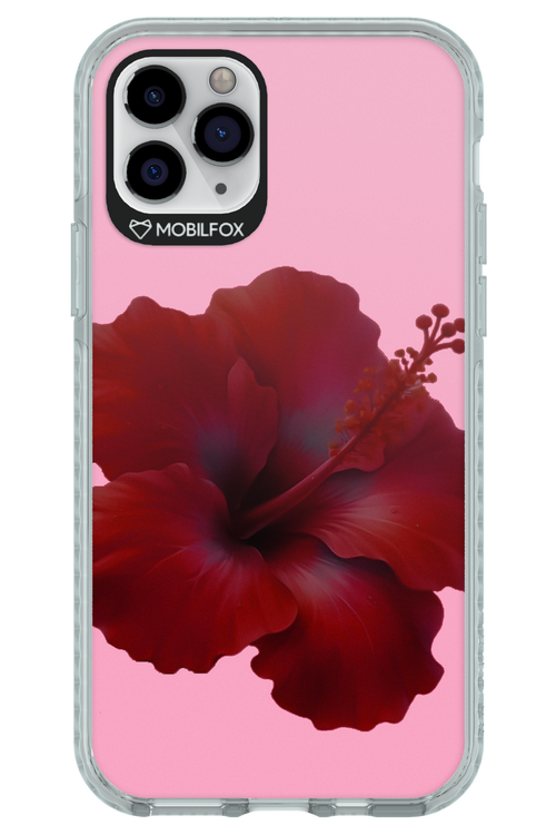 HibiGundy - Apple iPhone 11 Pro