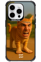 Bisoi Pisoi - Apple iPhone 16 Pro