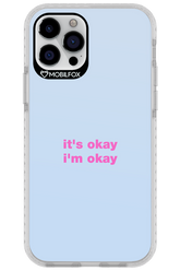 It_s Okay - Apple iPhone 12 Pro