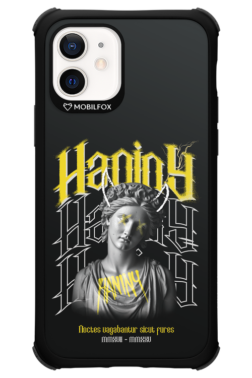 Haniny Icon (black) - Apple iPhone 12