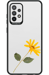 Pressed Flower - Samsung Galaxy A72