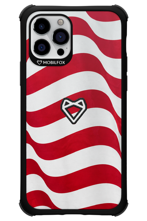 USA 2.0 - Apple iPhone 12 Pro