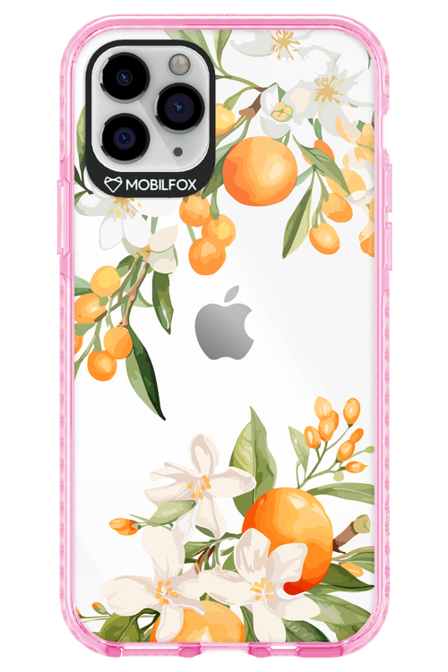Amalfi Orange 2.0 - Apple iPhone 11 Pro