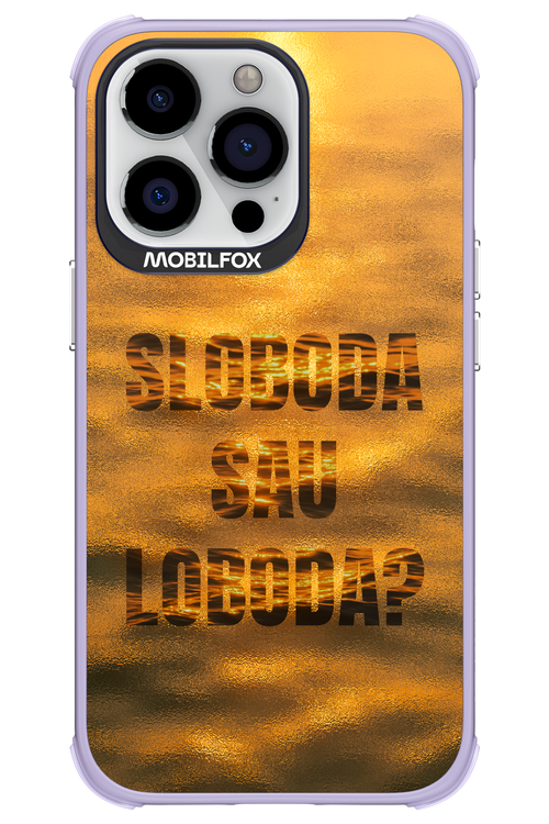 S or L - Apple iPhone 13 Pro