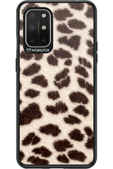 Wild Coat - OnePlus 8T