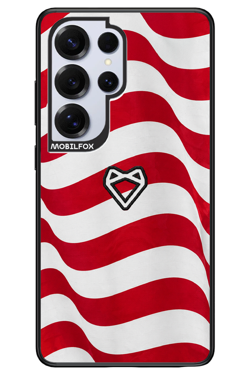 USA 2.0 - Samsung S25 Ultra
