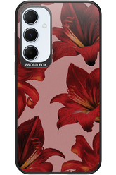 Amaryllis Mist - Samsung Galaxy A55