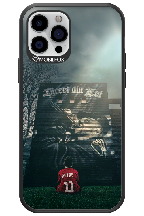 Direct Din Tei Artwork 2.0 - Apple iPhone 12 Pro