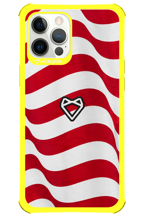 USA 2.0 - Apple iPhone 12 Pro Max