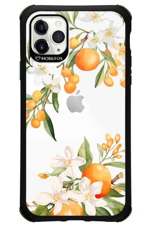 Amalfi Orange 2.0 - Apple iPhone 11 Pro Max