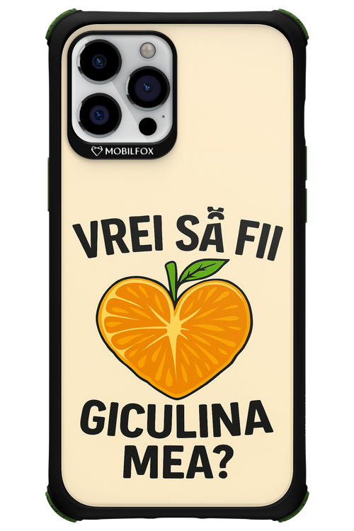 Design Clean 2.0 - Apple iPhone 12 Pro Max