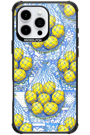 Net Style - Apple iPhone 16 Pro Max