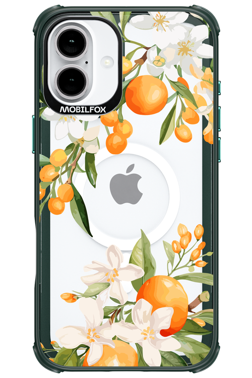 Amalfi Orange 2.0 - Apple iPhone 16 Plus