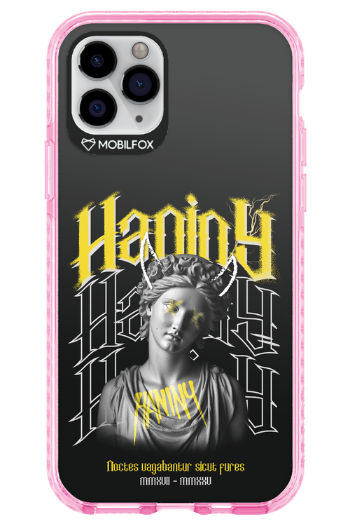 Haniny Icon (black) - Apple iPhone 11 Pro