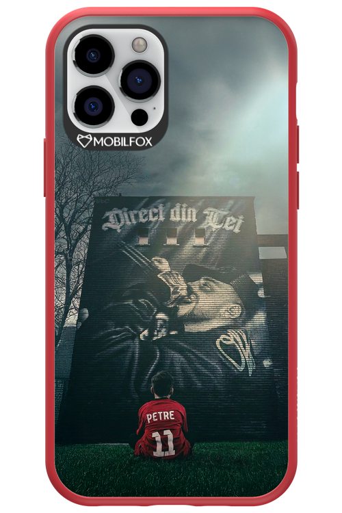 Direct Din Tei Artwork 2.0 - Apple iPhone 12 Pro