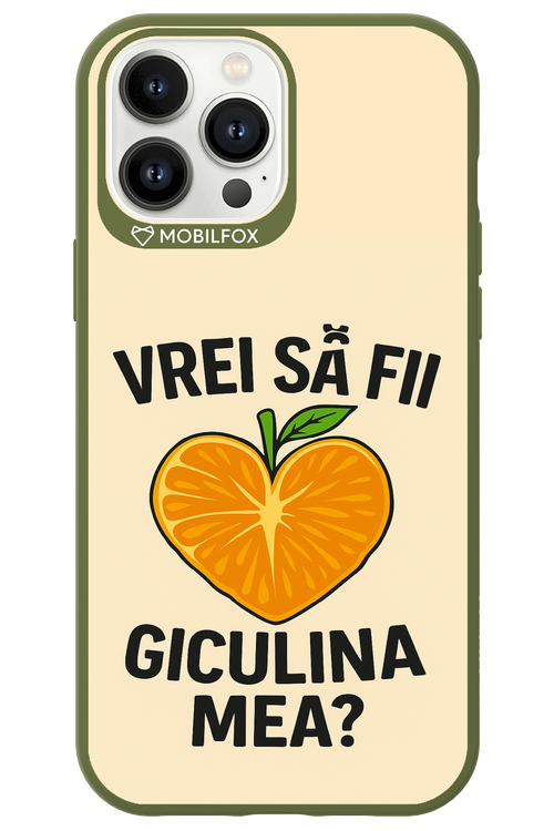 Design Clean 2.0 - Apple iPhone 13 Pro Max