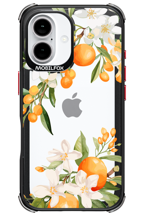 Amalfi Orange 2.0 - Apple iPhone 16