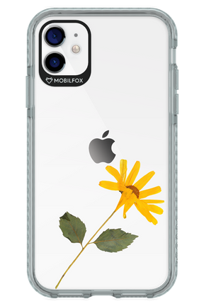 Pressed Flower - Apple iPhone 11