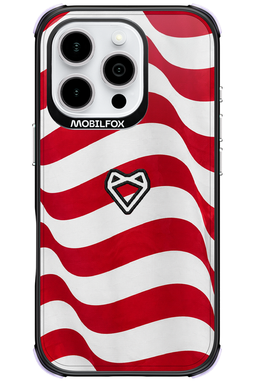 USA 2.0 - Apple iPhone 16 Pro