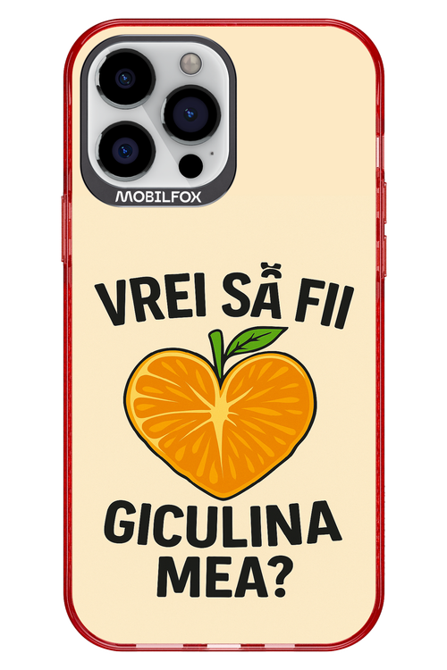 Design Clean 2.0 - Apple iPhone 13 Pro Max