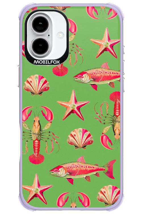 Sea Stars - Apple iPhone 16 Plus
