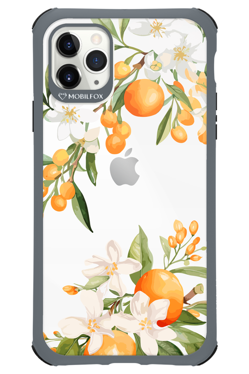 Amalfi Orange 2.0 - Apple iPhone 11 Pro Max