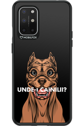 Unde-i Cainilii - OnePlus 8T