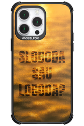 S or L - Apple iPhone 14 Pro Max