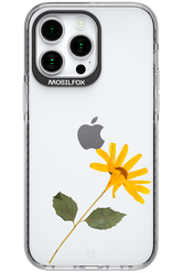 Pressed Flower - Apple iPhone 15 Pro Max