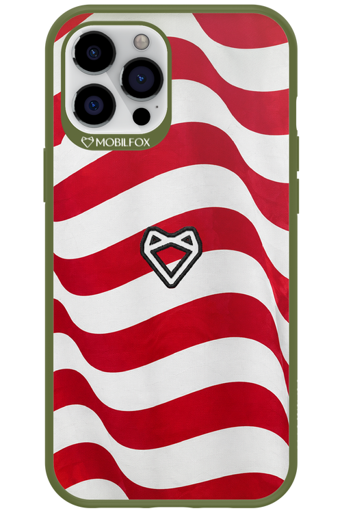USA 2.0 - Apple iPhone 12 Pro Max