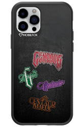 Denim Patch Logos 2.0 - Apple iPhone 12 Pro