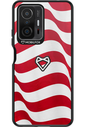 USA 2.0 - Xiaomi Mi 11T Pro