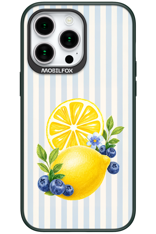 Fresh Flash 2.0 - Apple iPhone 15 Pro Max