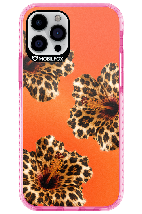 Sun Purr 2.0 - Apple iPhone 12 Pro