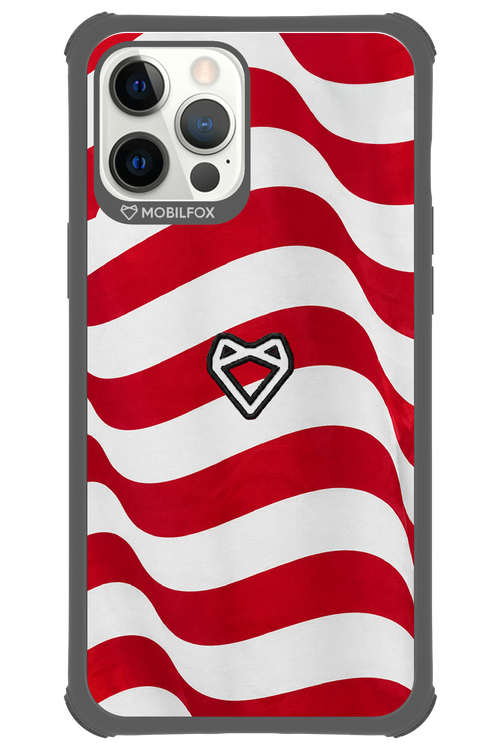 USA 2.0 - Apple iPhone 12 Pro Max