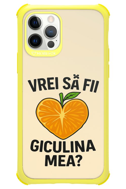 Design Clean 2.0 - Apple iPhone 12 Pro