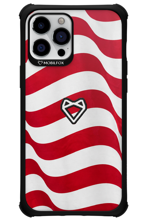 USA 2.0 - Apple iPhone 12 Pro Max