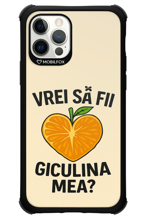 Design Clean 2.0 - Apple iPhone 12 Pro