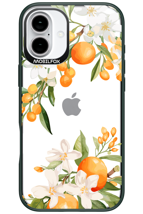 Amalfi Orange 2.0 - Apple iPhone 16 Plus
