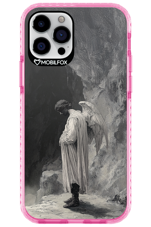 INGER Cover 2.0 - Apple iPhone 12 Pro