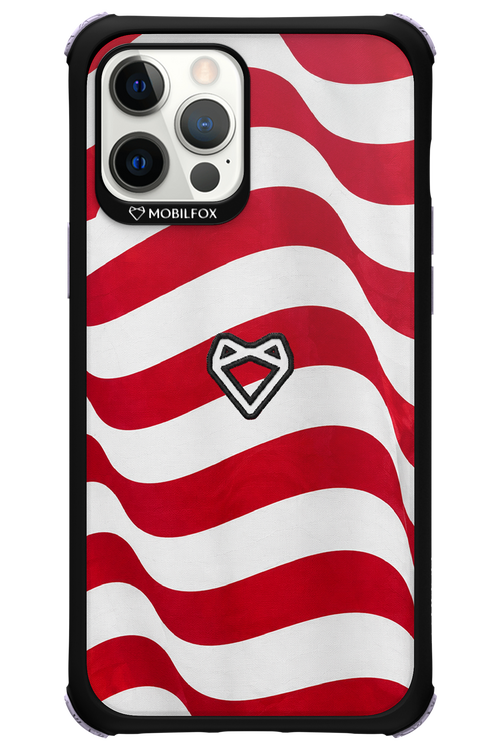 USA 2.0 - Apple iPhone 12 Pro Max