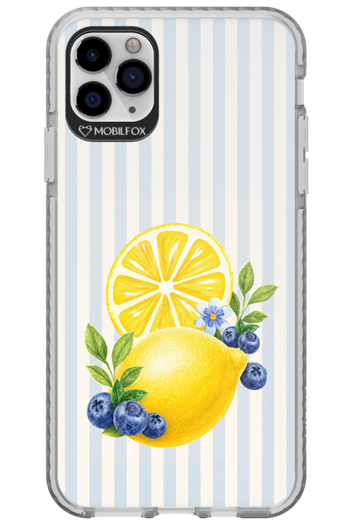 Fresh Flash 2.0 - Apple iPhone 11 Pro Max