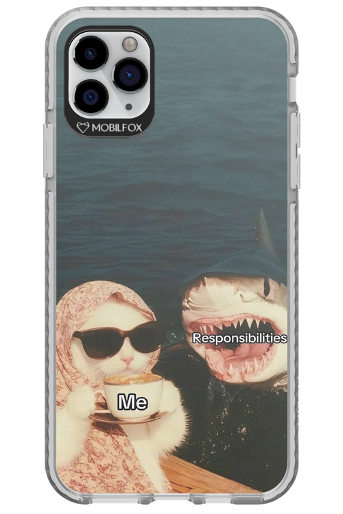 Responsibilities - Apple iPhone 11 Pro Max