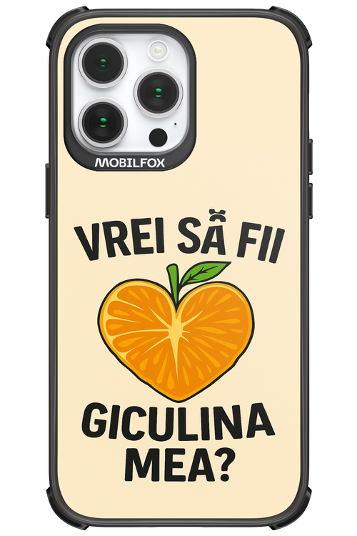 Design Clean 2.0 - Apple iPhone 14 Pro Max