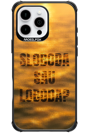 S or L - Apple iPhone 16 Pro Max