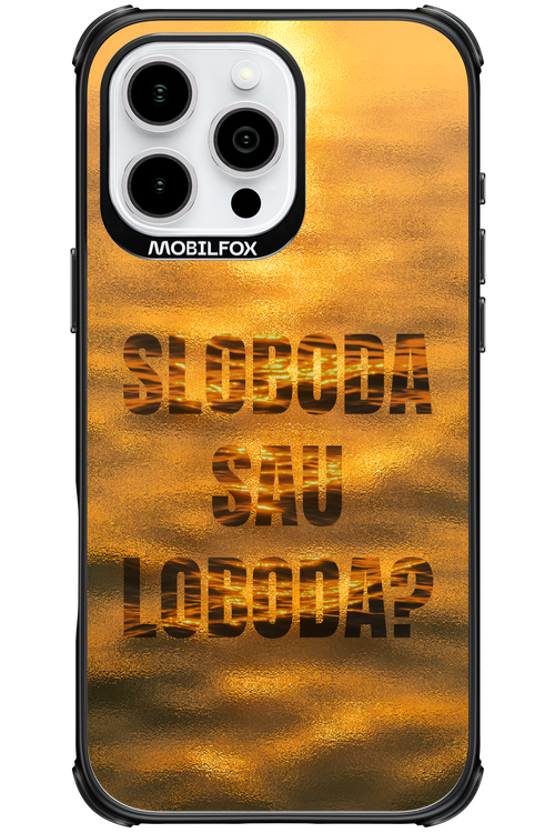 S or L - Apple iPhone 16 Pro Max