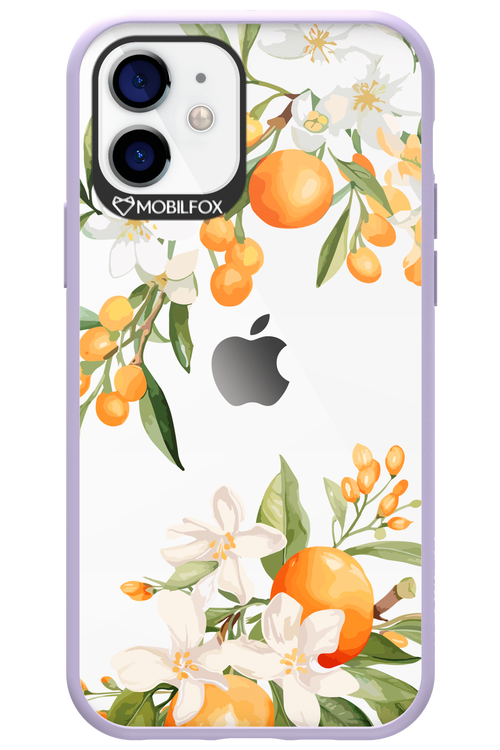 Amalfi Orange 2.0 - Apple iPhone 12
