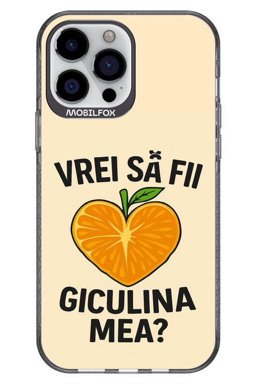 Design Clean 2.0 - Apple iPhone 13 Pro Max
