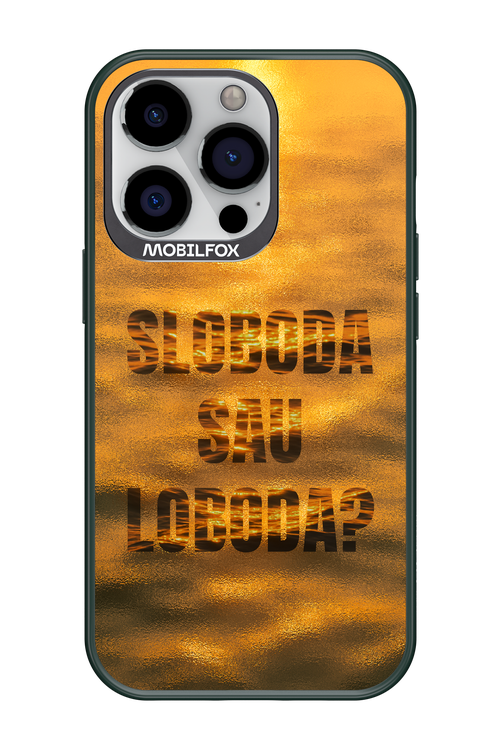 S or L - Apple iPhone 13 Pro