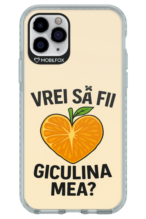 Design Clean 2.0 - Apple iPhone 11 Pro